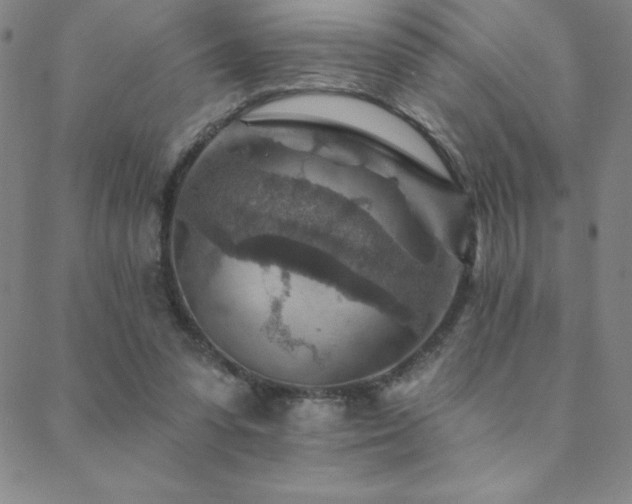 X0000088870303200706081222