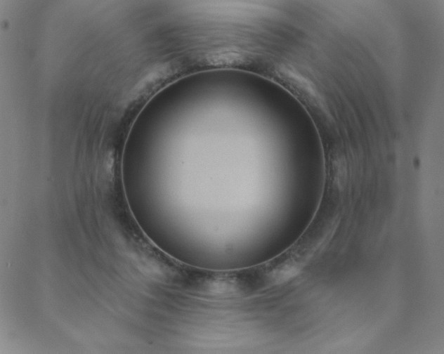 X0000088870308200706081222