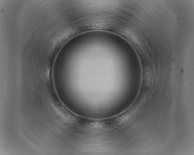 X0000088870310200706081222