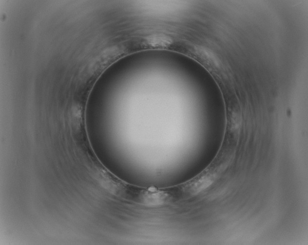 X0000088870321200706081222