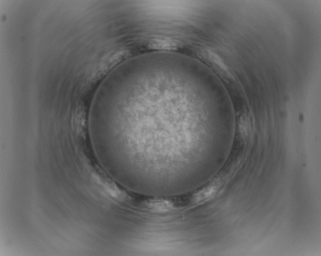 X0000088870322200706081222