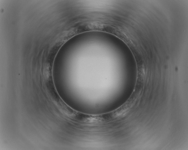 X0000088870323200706081222