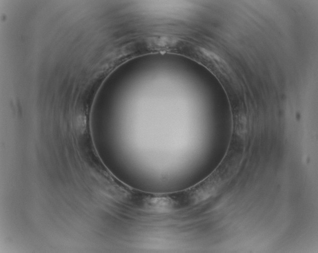X0000088870324200706081222