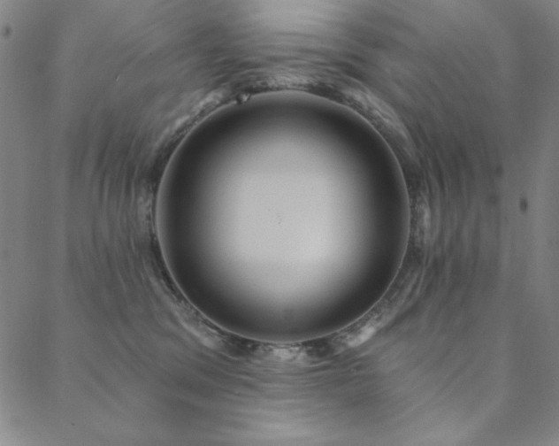 X0000088870329200706081222