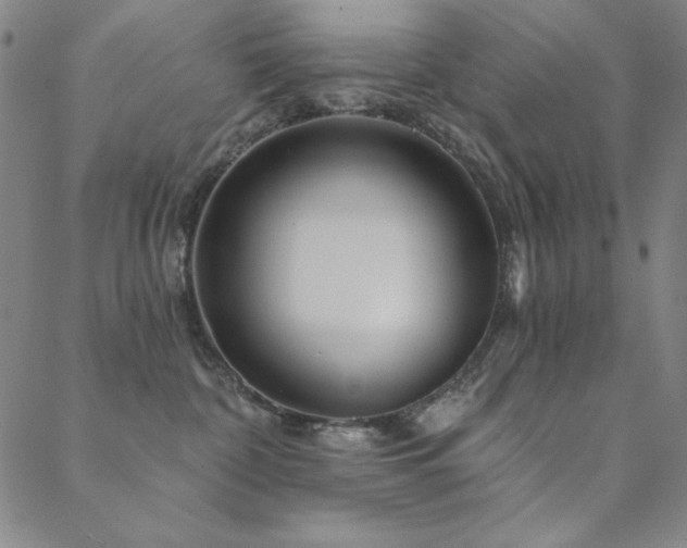 X0000088870332200706081222