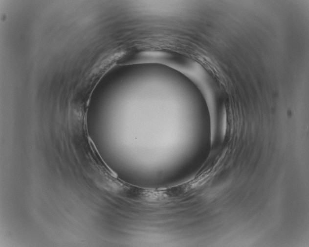 X0000088870333200706081222