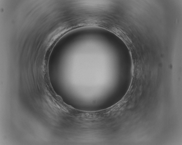 X0000088870338200706081221