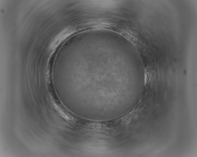 X0000088870339200706081221