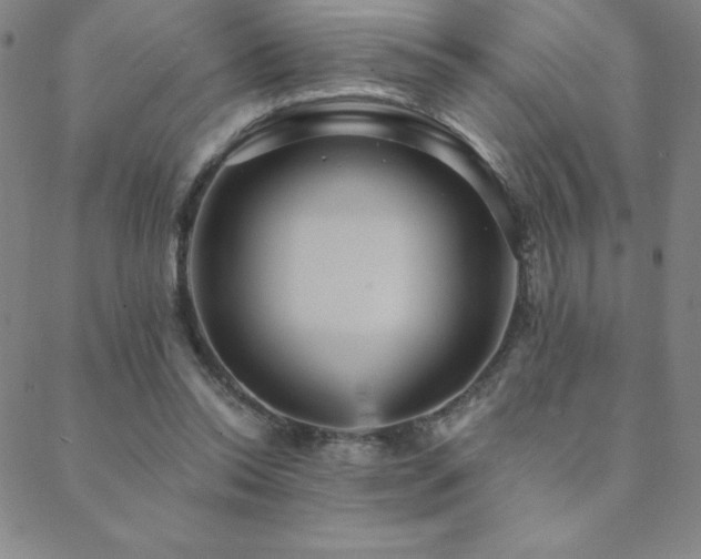 X0000088870350200706081221
