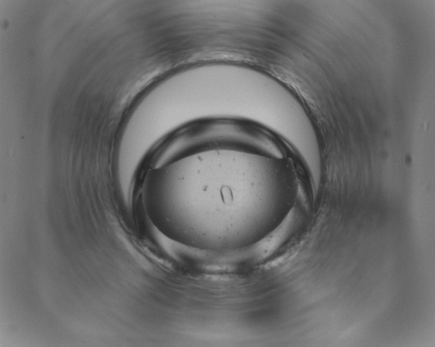 X0000088870352200706081221