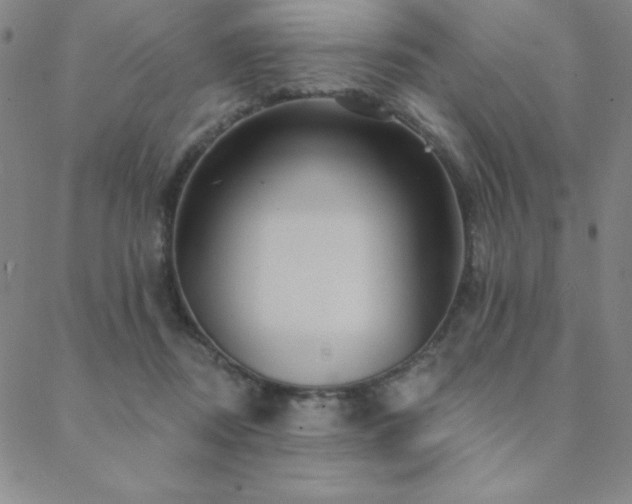 X0000088870362200706081221
