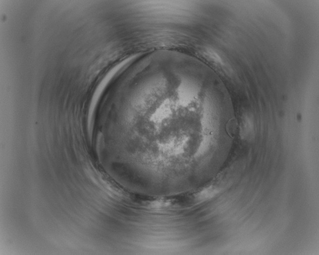 X0000088870366200706081221