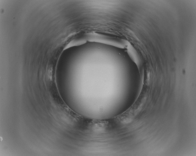 X0000088870368200706081221