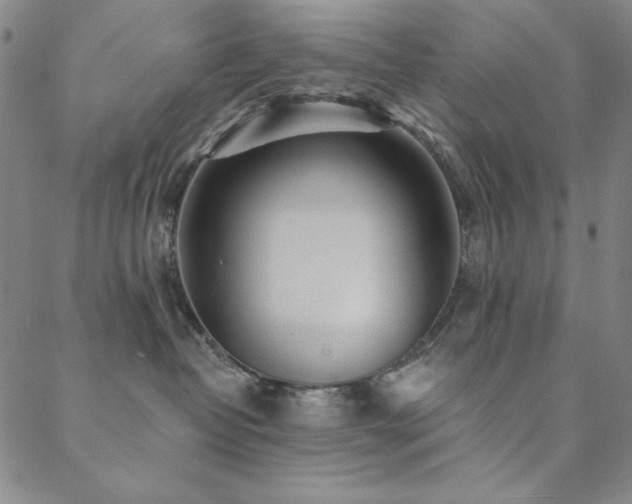 X0000088870382200706081222