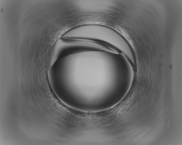 X0000088870385200706081221