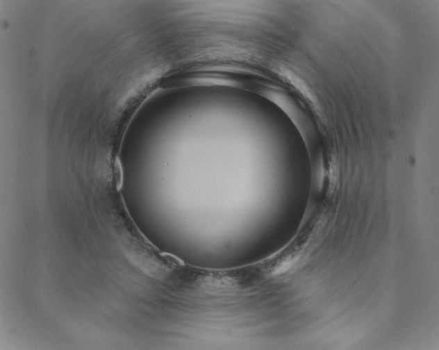 X0000088870403200706081220