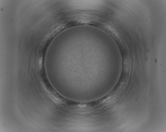 X0000088870406200706081220