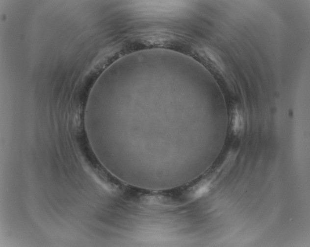 X0000088870408200706081220