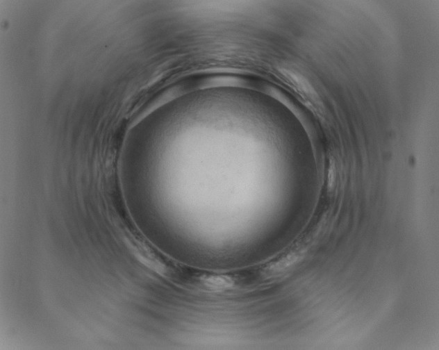 X0000088870409200706081220