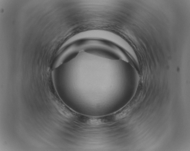 X0000088870413200706081220