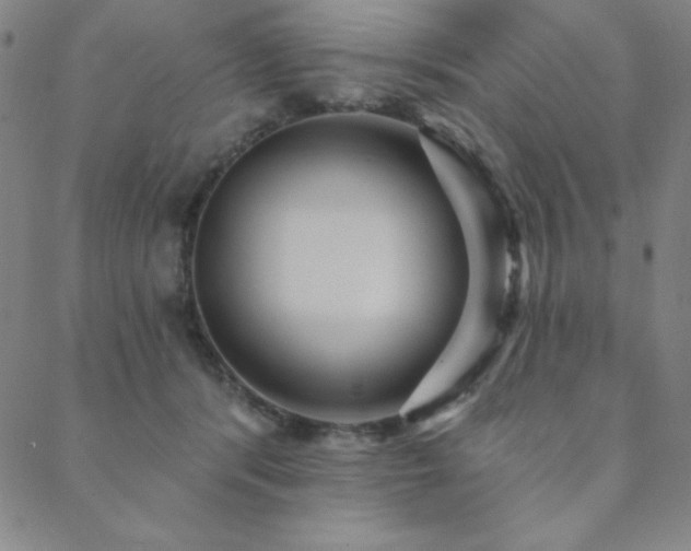 X0000088870416200706081220
