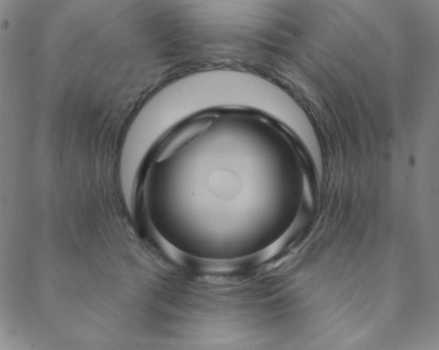 X0000088870417200706081220