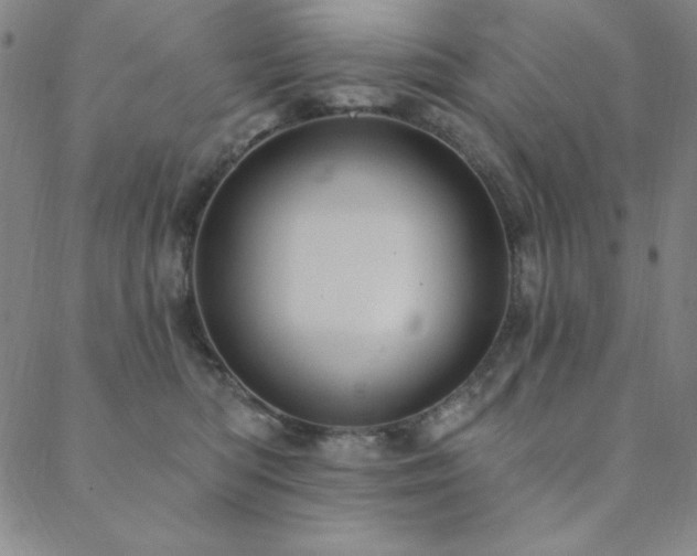 X0000088870422200706081220