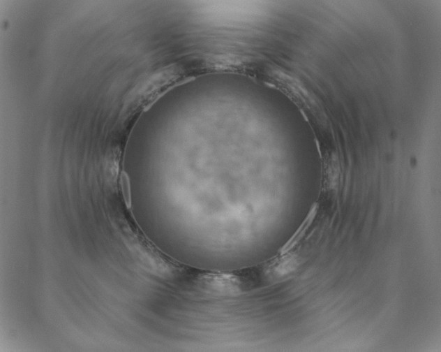 X0000088870427200706081220
