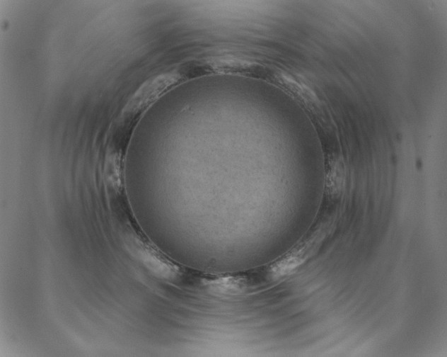X0000088870430200706081220