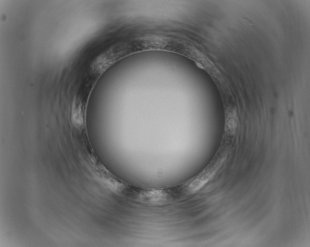 X0000088870431200706081220