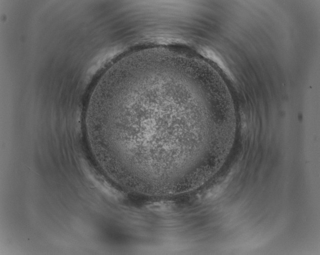 X0000088870447200706081219