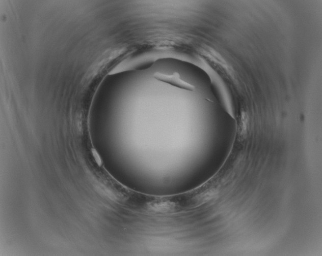 X0000088870452200706081220
