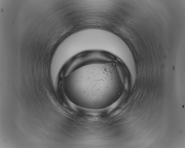 X0000088870456200706081220