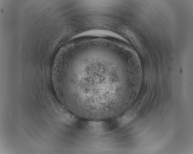 X0000088870457200706081220