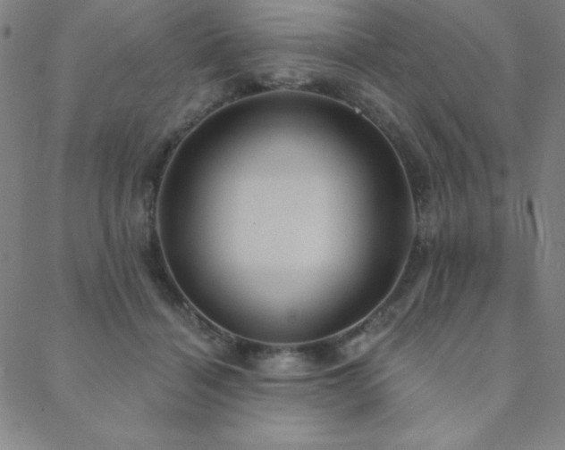 X0000088870460200706081220