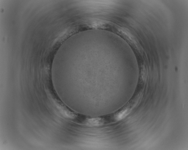 X0000088870461200706081220