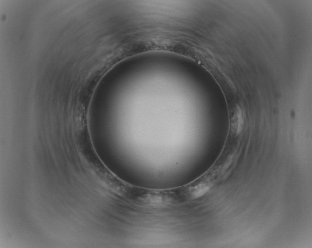 X0000088870464200706081220