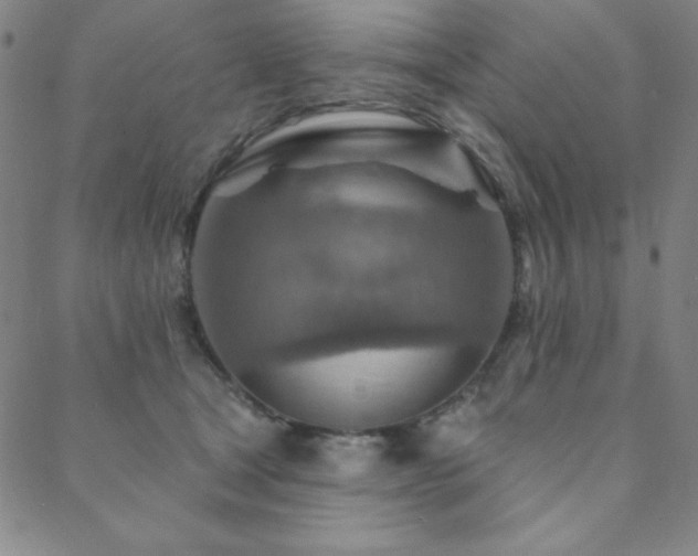 X0000088870465200706081220