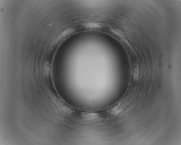 X0000088870476200706081220
