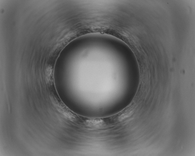 X0000088870480200706081220