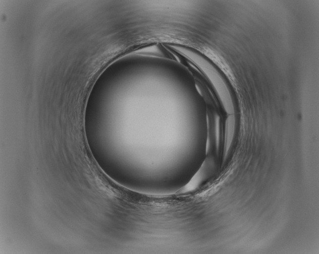 X0000088870481200706081219