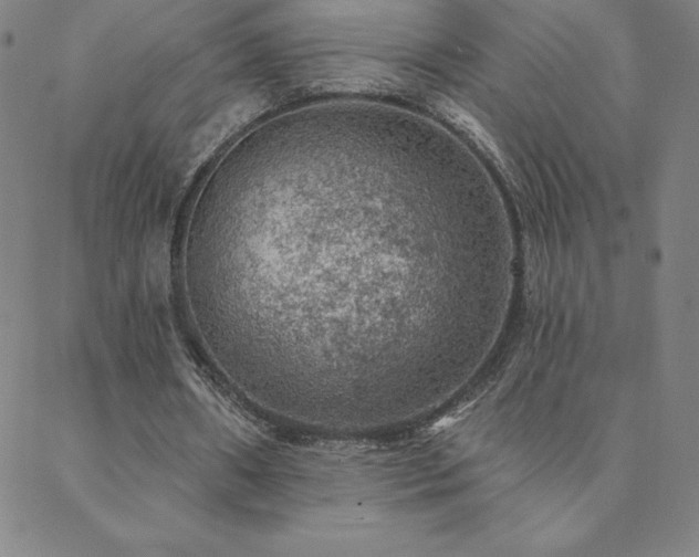 X0000088870482200706081219