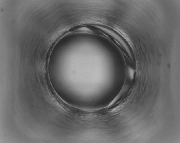 X0000088870485200706081219