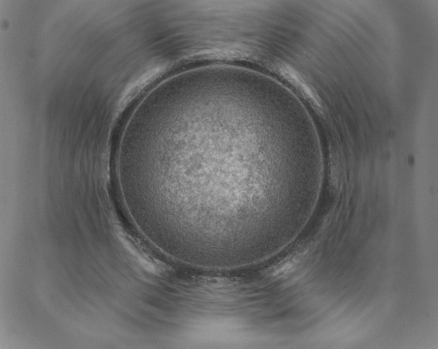 X0000088870486200706081219