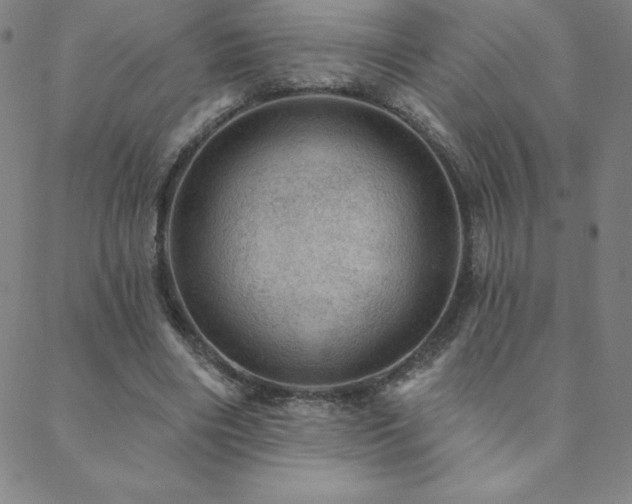 X0000088870490200706081219