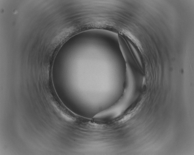 X0000088870493200706081219