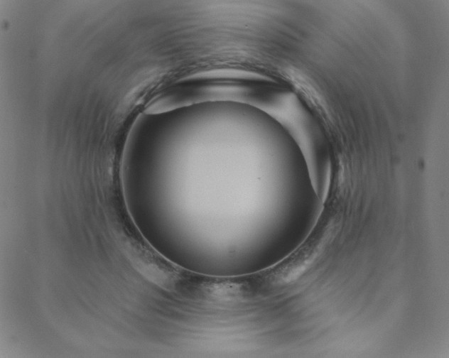 X0000088870501200706081219