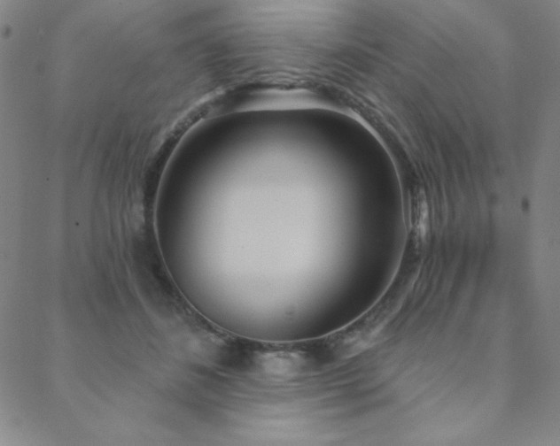 X0000088870508200706081219