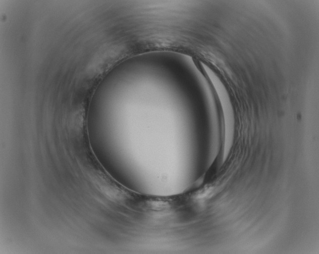 X0000088870509200706081219