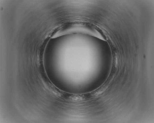 X0000088870512200706081219